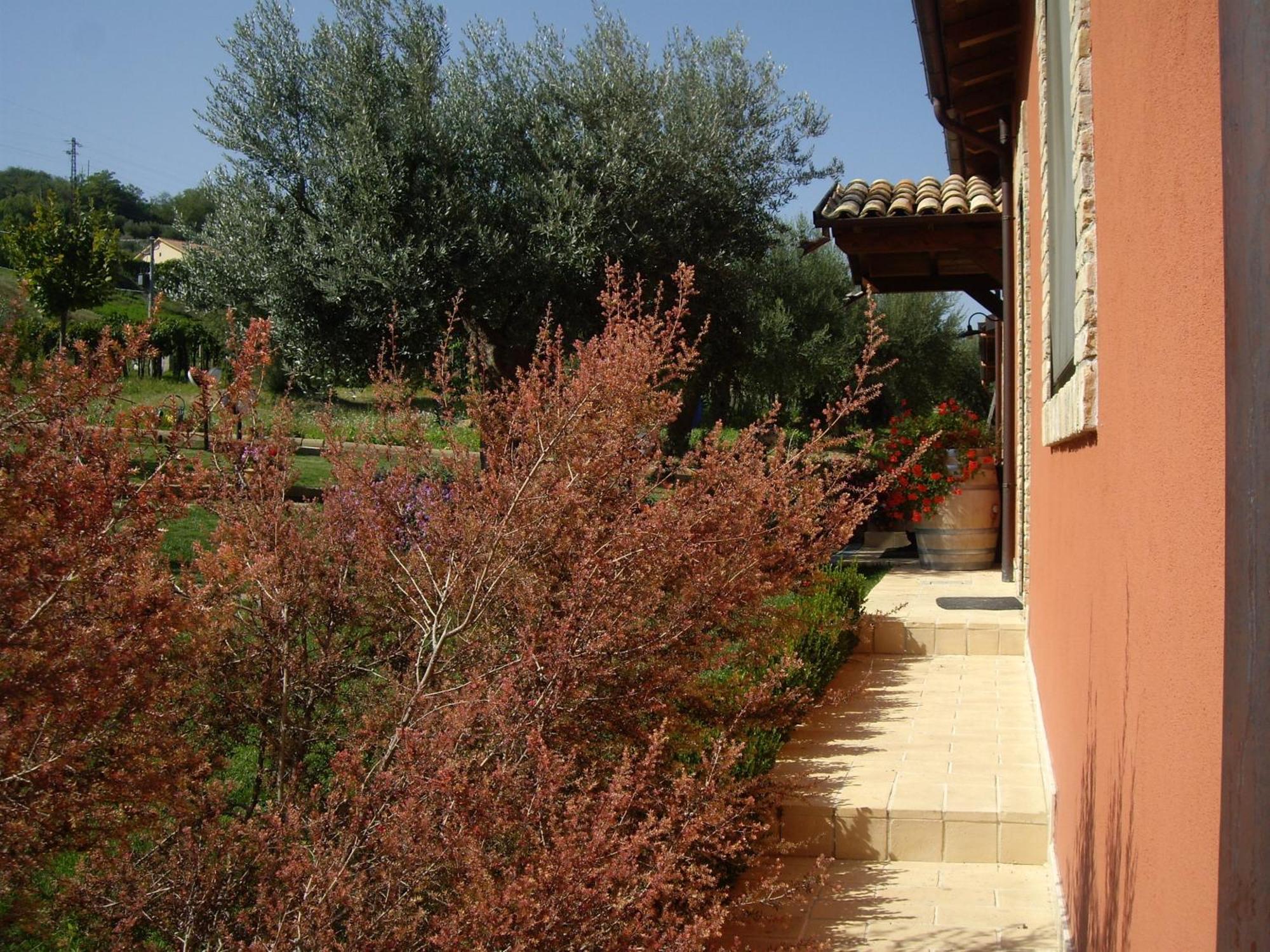 Agriturismo Il Borgo Degli Ulivi Roseto Degli Abruzzi Zewnętrze zdjęcie