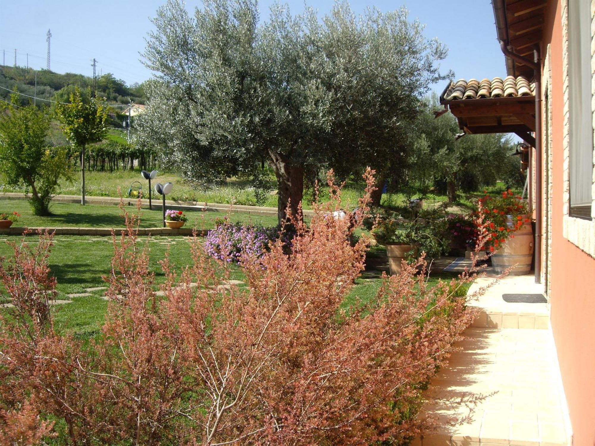 Agriturismo Il Borgo Degli Ulivi Roseto Degli Abruzzi Zewnętrze zdjęcie