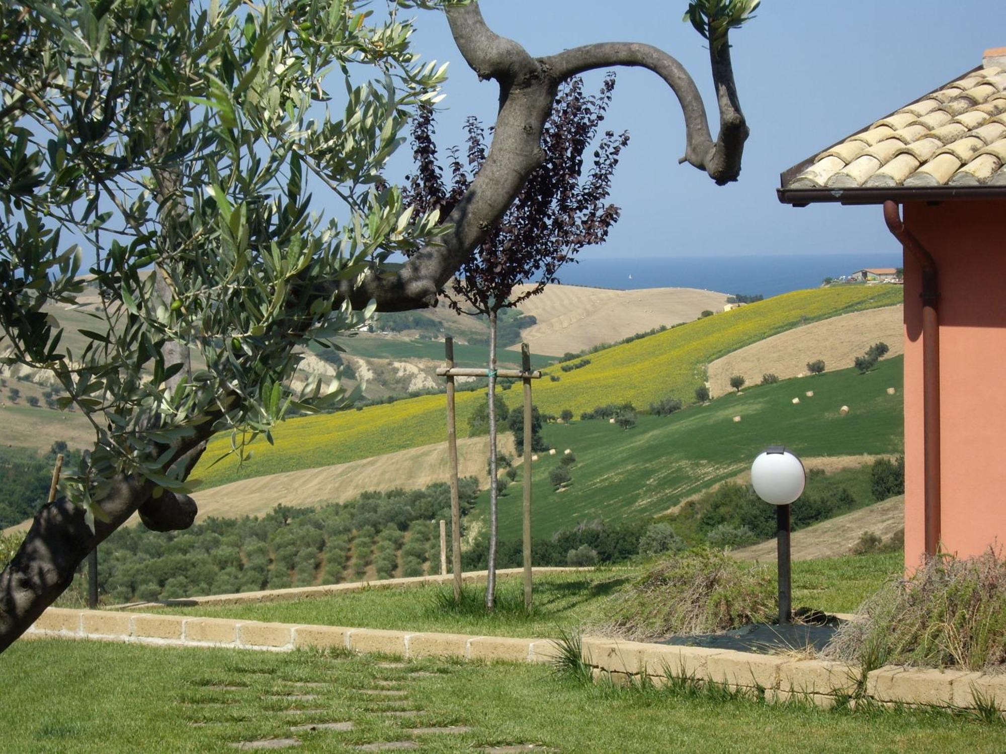 Agriturismo Il Borgo Degli Ulivi Roseto Degli Abruzzi Zewnętrze zdjęcie